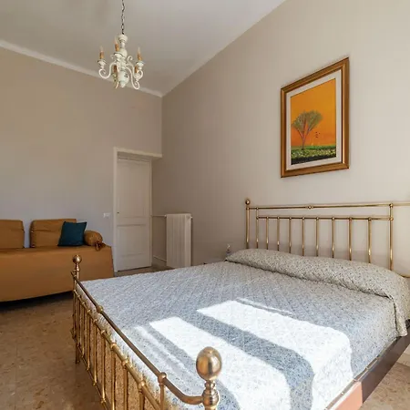 Guesthost - San Lorenzo Bright X8