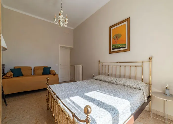 Guesthost - San Lorenzo Bright X8